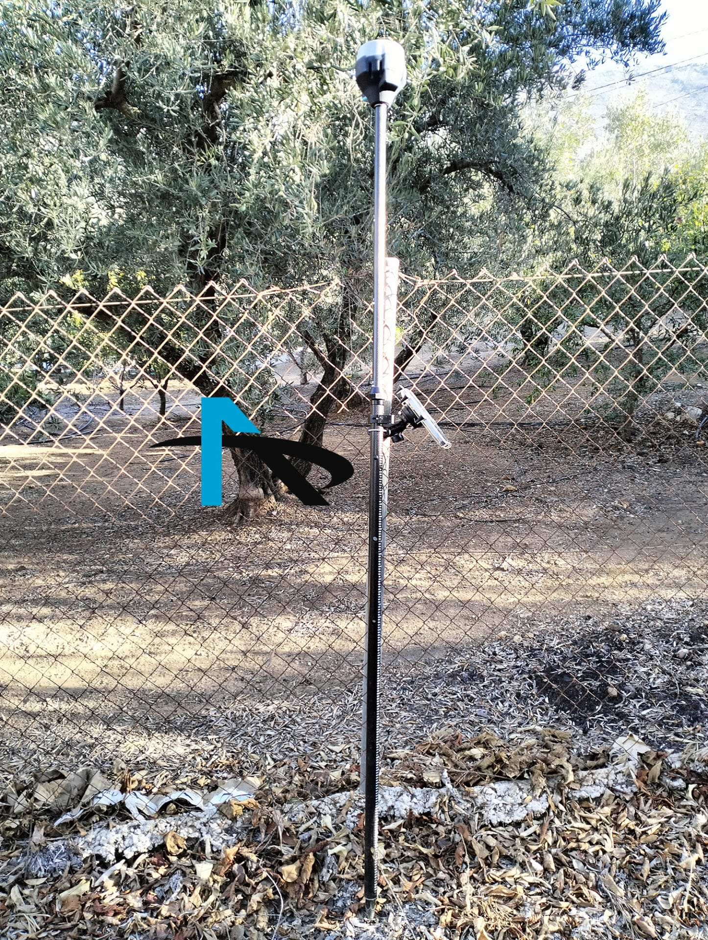 Linderos en una herencia en Aldea de la Negra, Periana